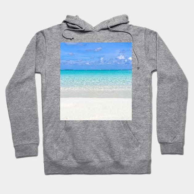 Beautiful Tropical Paradise Hoodie by NewburyBoutique